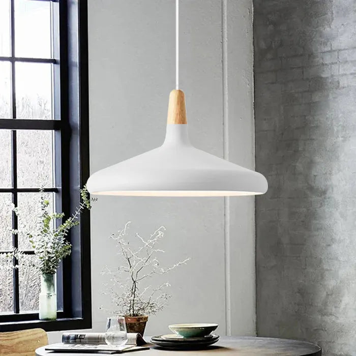 Asteris Nova Conical Metal Pendant Light For Modern Interiors